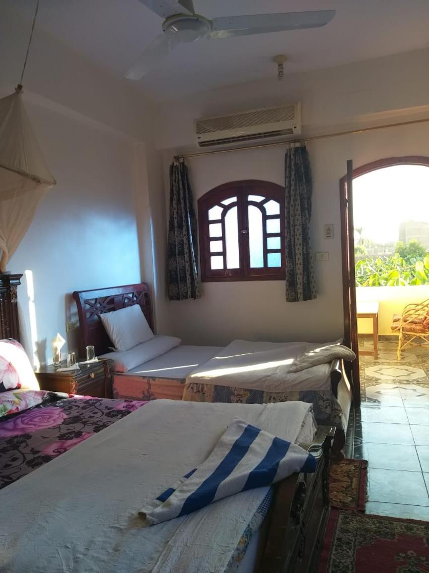 Peace&freedom Guesthouse&restaurant * Louxor